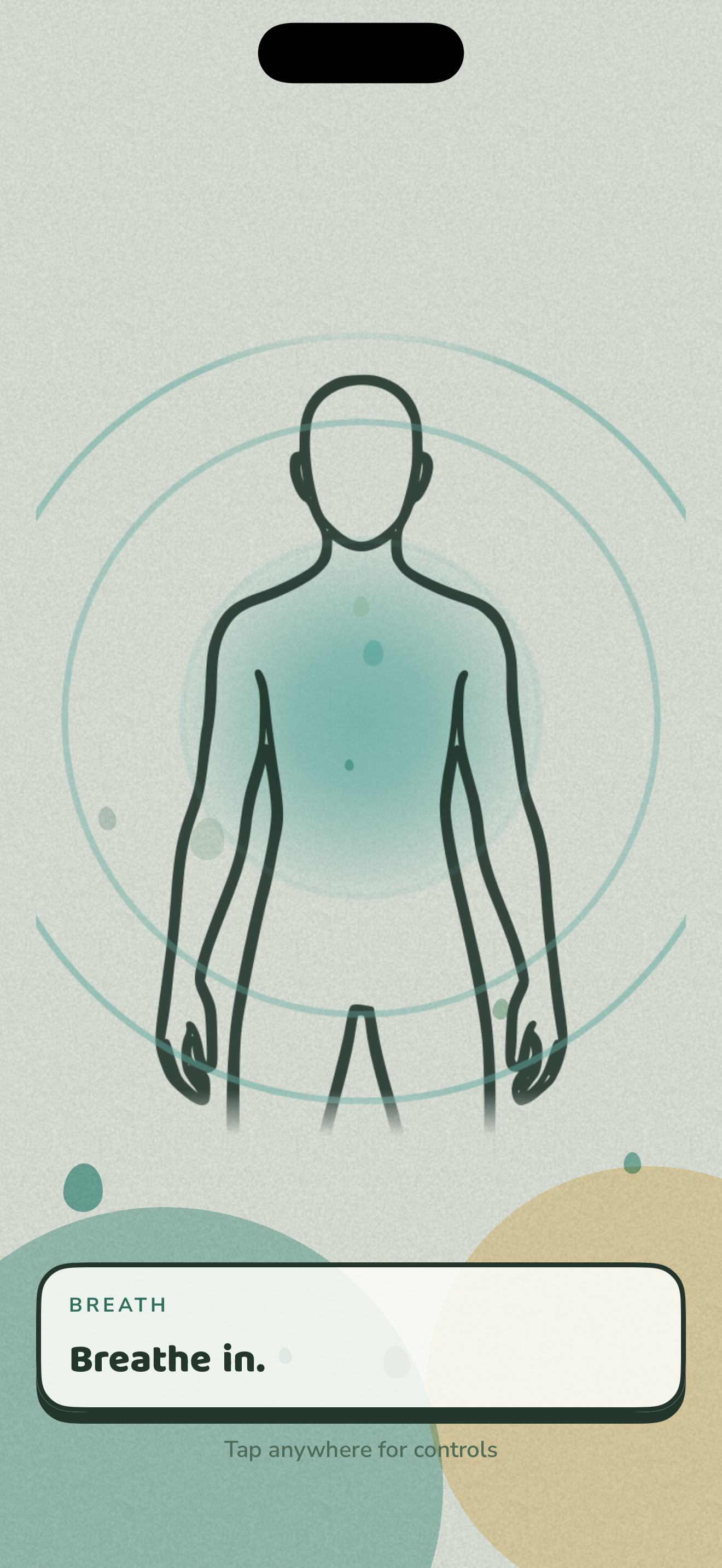 The Relax breathing screen: a body outline with a teal glow at the chest, rings of air drawing inward, and the prompt Breathe in